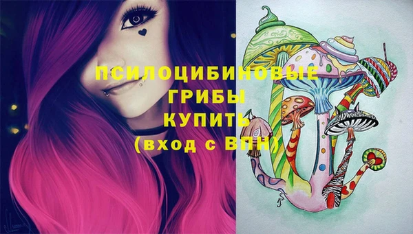 мдпв Навашино