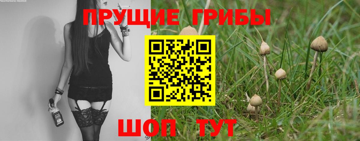 Псилоцибиновые грибы мицелий  Псилоцибиновые грибы Magic Shrooms  Вход с VPN  Соликамск 